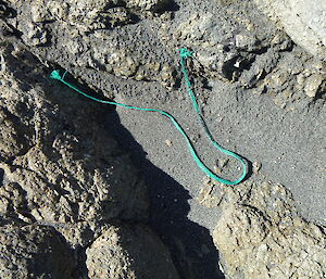 Green string sitting on the sand