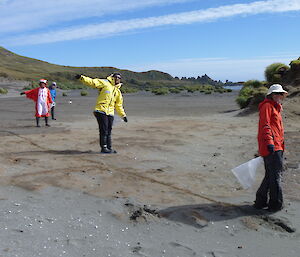 Expeditioners on the beach forming a line