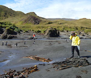 Two expeditioners on the beach collecting rubbish with a few penguins watching