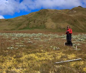 Expeditioner looking into fenced area at growth of plants