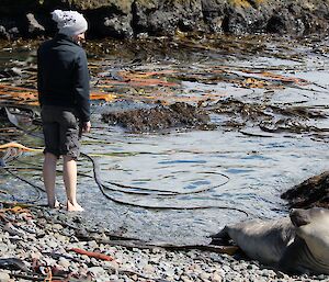 Female expeditioner barefoot in one of the bays with a seal watching on