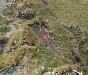 Female expeditioner on a grassy slope in the distance