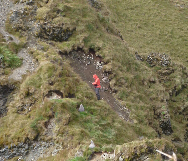 Female expeditioner on a grassy slope in the distance
