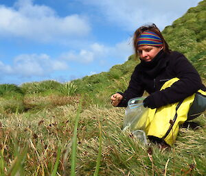 Female expeditioner bending over collecting seeds from plants