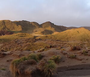 Panoramic landscape image of Bauer Bay