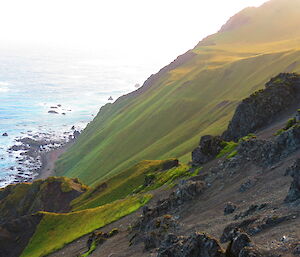 View of very steep scree slope, grass and ocean in background