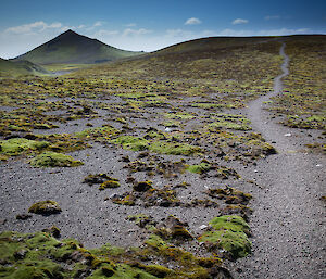 Dirt track leading up a slope in the distance