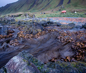 Orange round field hut in the background, rock and kelp in the foreground