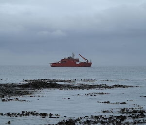 Large red ship on the horizon