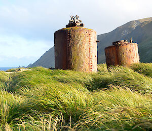 Digestors, which are cylindrical tanks, in the high grass near Landing Beach