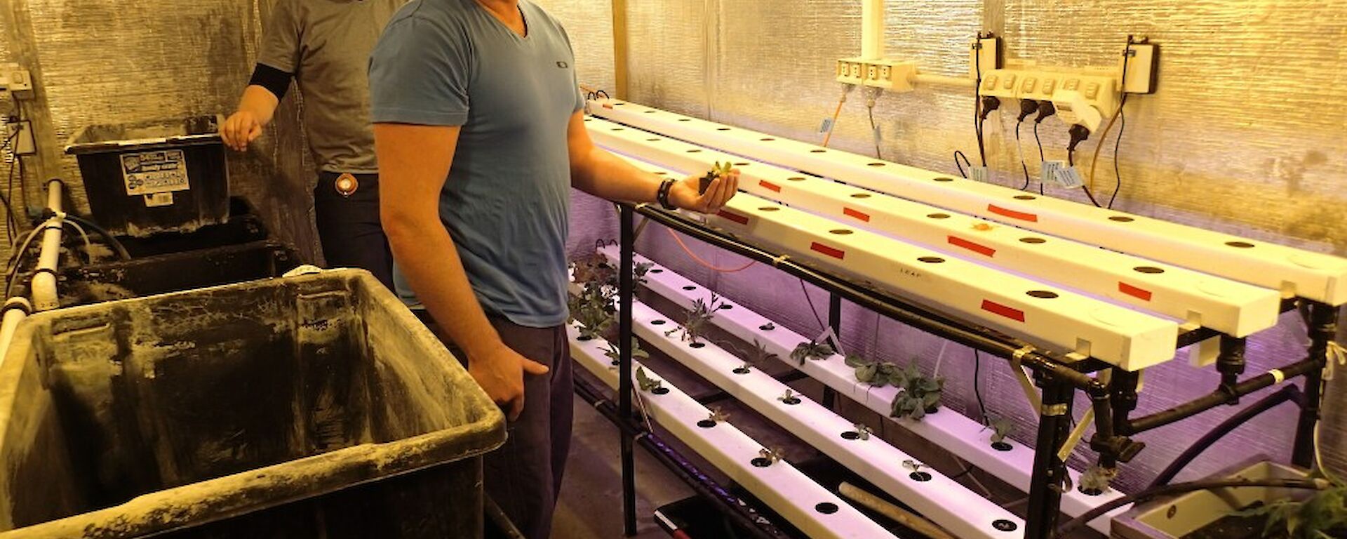 Aaron and Josh standing inside the hydroponics hut. There are two shelves with three rows of plastic hydroponic beds