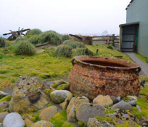 Artefact corral taken from roughly the same angle as picture one (above), showing the recovery and regrowth of the vegetation