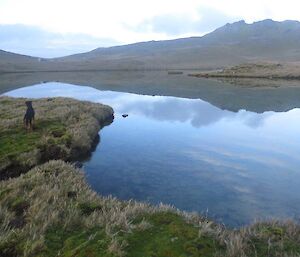 Looking across at the reflections on Tiobunga Lake, with Tiobunga hut on the distant shore and Chase, the rodent dog, just on the shore in the foreground