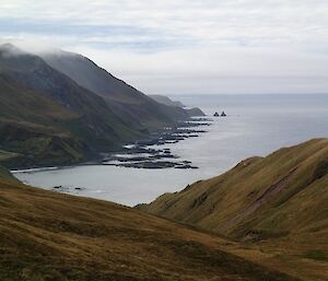 A picture of Macquarie Island east coast