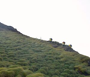 Dean, Ange and Nick climbing up the big slope