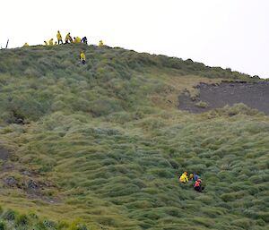 Team members standing on top of slope preparing ropes
