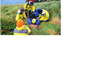 All rescue team surrounding Tom they are surrounded by tussuck and the ocean in the back