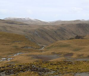 A photo of Macquarie Island landscape a ridge in the background