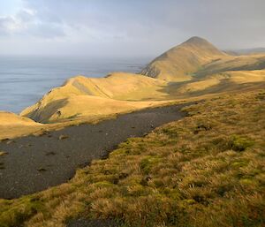 Looking south from the Brothers track — along grass covered hills and the ocean on the left