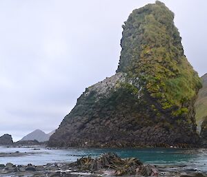 One of the Nuggets up close. massive rock stack protruding out of the water. The steeply sloped upper part is covered in vegetation of various shades of green and brown. Several sea birds are perched on a gentler sloping left side. As it was near low tide a ‘skirt’ of kelp can be seen near the water line