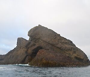 The strange island landmass that is Gorilla Head Rock. Situated off North Head, the geological structure of it is impressive