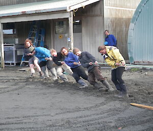 Kiwi team leaving on the rope tom leaning up against the carpenters building