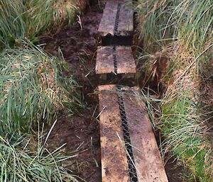 A short section of completed board walk installed over the muddy wallows, comprising several steps, each with two planks 140mm x 40mm wide, covered with wire netting to help prevent sliding