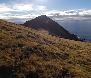 Looking down at Brothers Point from the Brothers Point track. It is a calm day and a beautiful day to walk the island – they don’t come like this very often