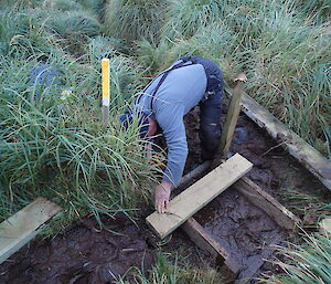 Chris , the ranger wearing wet weather trousers working in a deep muddy pile assembling a new section of walkway near Brothers Point Hut. The walk when completed will provide safer access to the beach