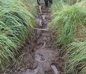 Dave at the start of the muddy track quietly thinking how best to proceed with the job