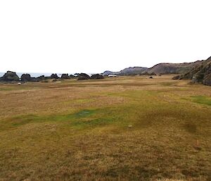 Looking north along the featherbed, deceptively easy walking. Bauer Bay is in the distance