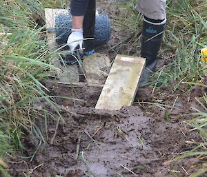 Josh, the plumber, seems well used to working in the mud. Seen here wearing his long gum boots and gloves, happily working on the section of board walk