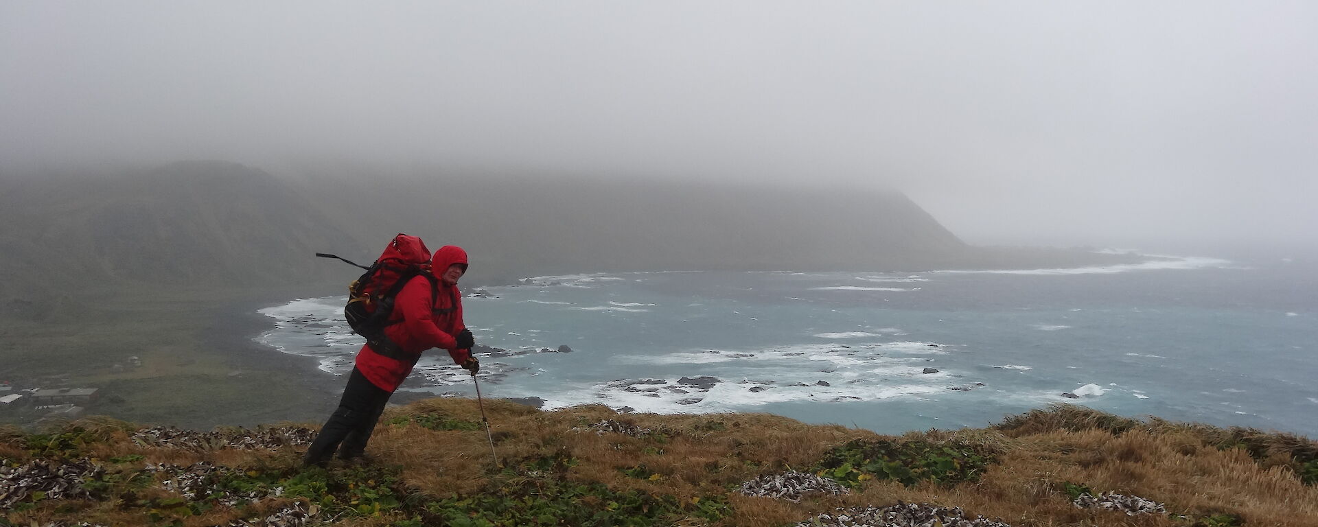 Dave wearing his red jacket and backpack at standing leaning on his walking pole at the top of North head with a view of Macquarie island with very low laying clouds and the ocean in the background.