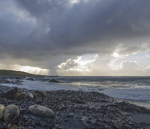 On a rocky beach looking west towards Handspike Point. The sun is setting behind the storm clouds on the horizon. There are several young elephant seals on the beach