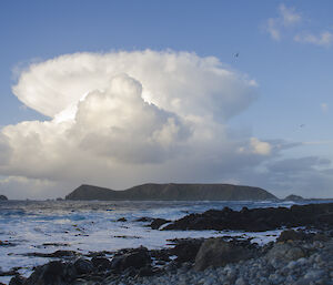 View from a rocky beach across Hasselborough Bay at a well developed cumulonimbus cloud (shaped like a mushroom) behind North Head