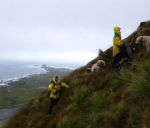 Tom, Karen and dogs Fin, Ash and Flax working climbing up a hill