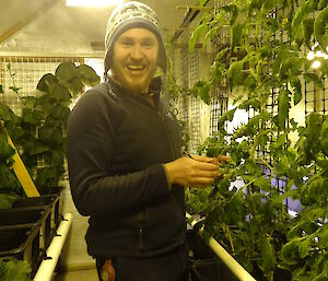Aaron in the hydroponic room next to the tomato plants