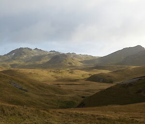 Looking across the brown grassed rolling hills of the Macquarie Island plateau, some snow visible ont the tops in the background