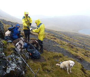 MIPEP hunter Nancye pulls the peace sign with jacket zipped high to protect from the wind, she and two others are standing beside a large rock with four dogs above an area of gravel and a small lake on the plateau