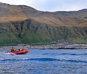 The view from one of the boats towards the huge king penguin colony at Lusitania Bay. One of the other boats is just in the foreground