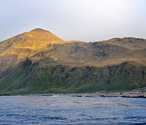 View from one of the boats towards Lusitania Bay king penguin colony. The hills above the bay are sunlit to show the vivid yellow, orang and green colouring