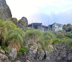 Rustic Green Gorge hut, with the tussock covered rocky ground surrounding the hut