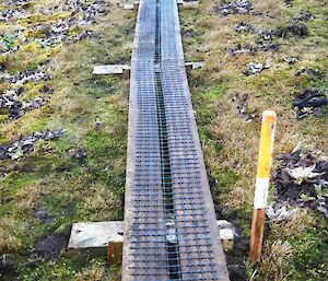 The new finished board walk track. protecting sensitive vegetation. 130 metres of track was laid.