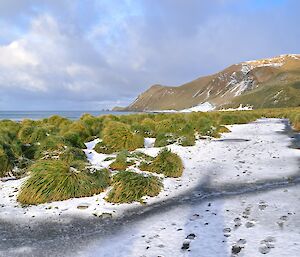 A view looking south along the track with tussock alongside and the distant hills slope towards the east coast. There is a thin layer of snow cover