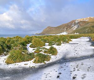 A view looking south along the track with tussock alongside and the distant hills slope towards the east coast. There is a thin layer of snow cover