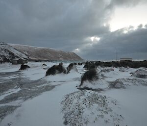 At sunset looking southwest across snow covered ground towards the distant slopes. There are tussock mounds across the landscape