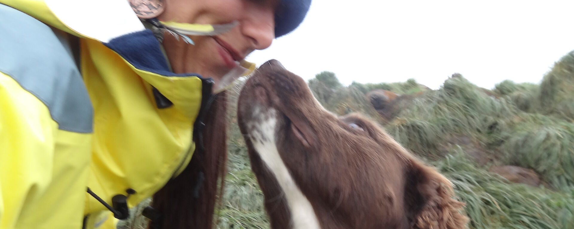 Patty wearing her yellow jacket and beanie looking down at Joker the dog who is a Springer spaniel looking up at Patty