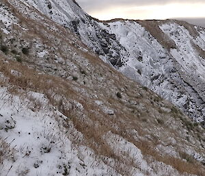 Gadgets creek covered in snow with the ocean in the background