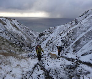 Marty, Steve and Flax the dog who is a golden Labrador retriever climbing up gadgets creek covered in snow with the ocean in the background