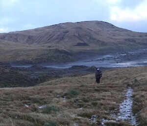 Marty in the distance walking down to Bauer bay